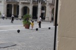 resIMG_20160614_175604_6131.JPG